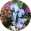 Wasany Hall profile picture