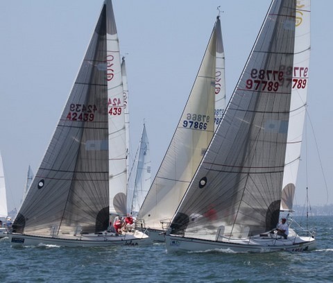 Sailboats racing on a sunny day